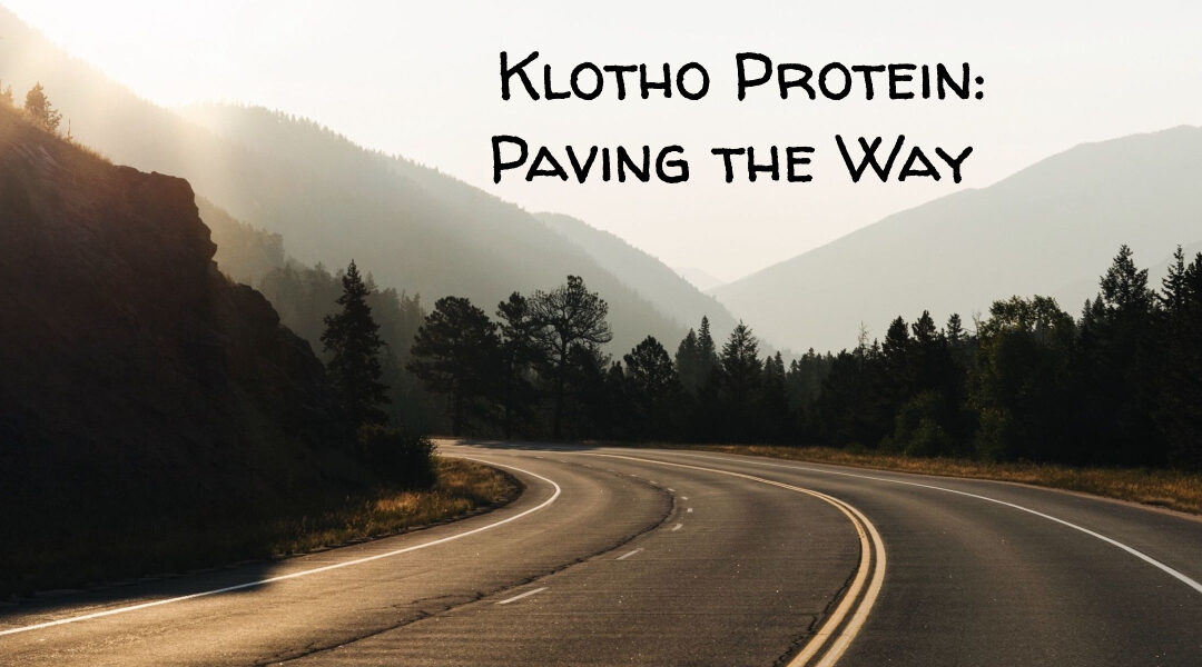 Klotho Protein: Paving the Way for Longer, Healthier Lives