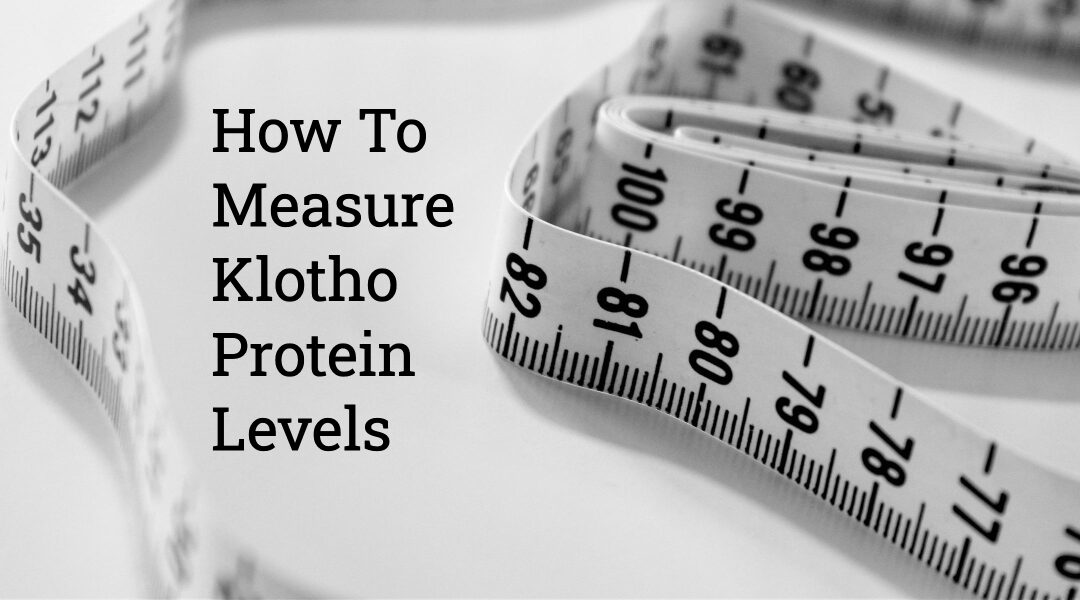 Boosting Your Longevity: Measuring and Enhancing Klotho Protein Levels